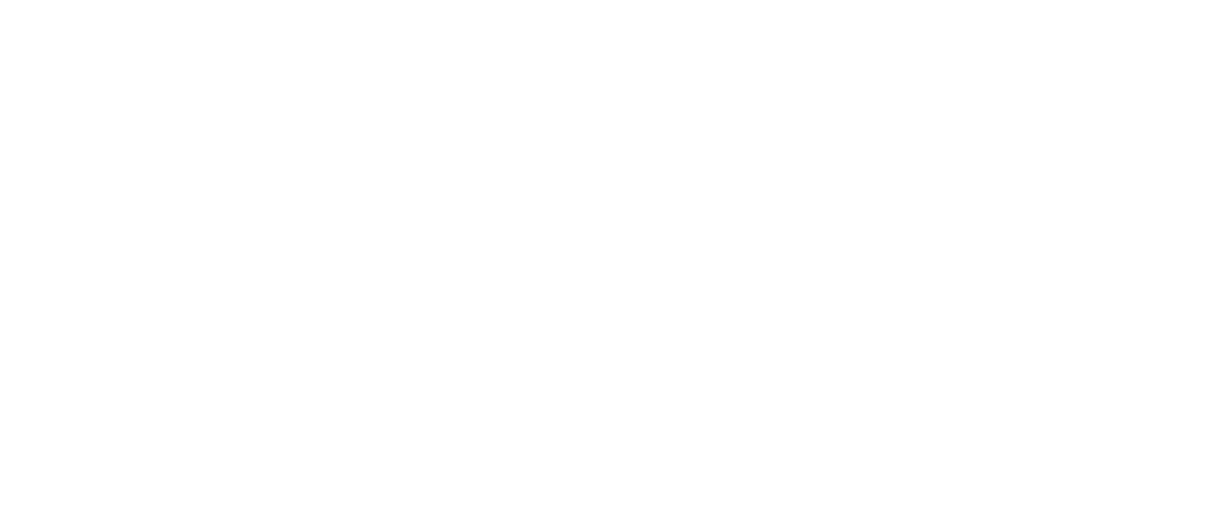 Toronto Arts Council (TAC)