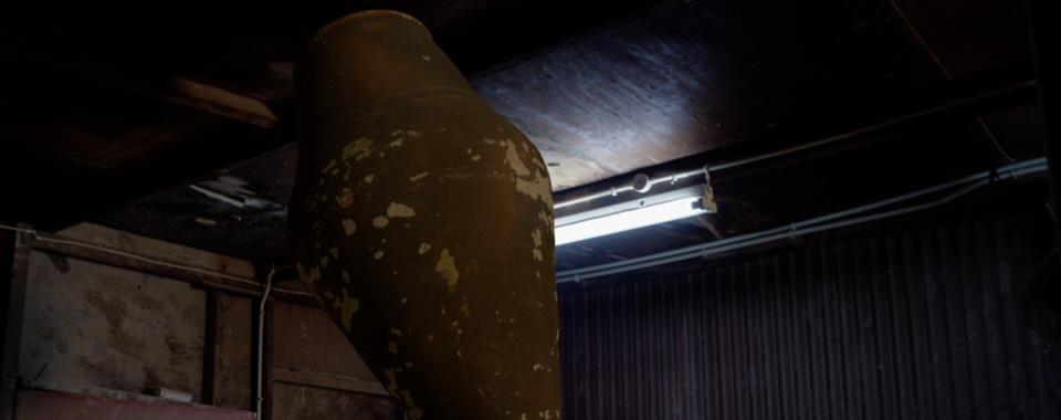 TAF2025 Shorts Programme: “Resurrection”
