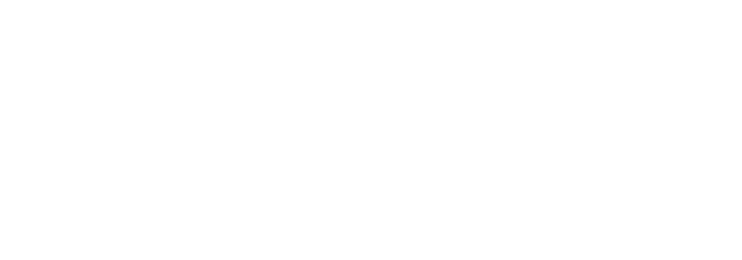 York University – School of the Arts, Media, Performance & Design