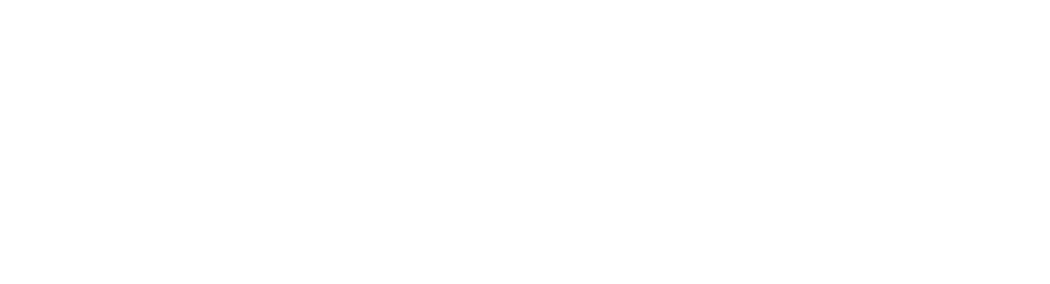 Toronto Arts Council (TAC)