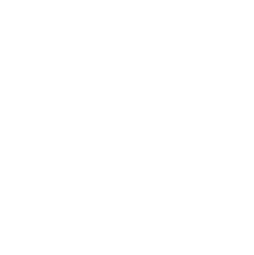 Toronto Outdoor Picture Show (TOPS)