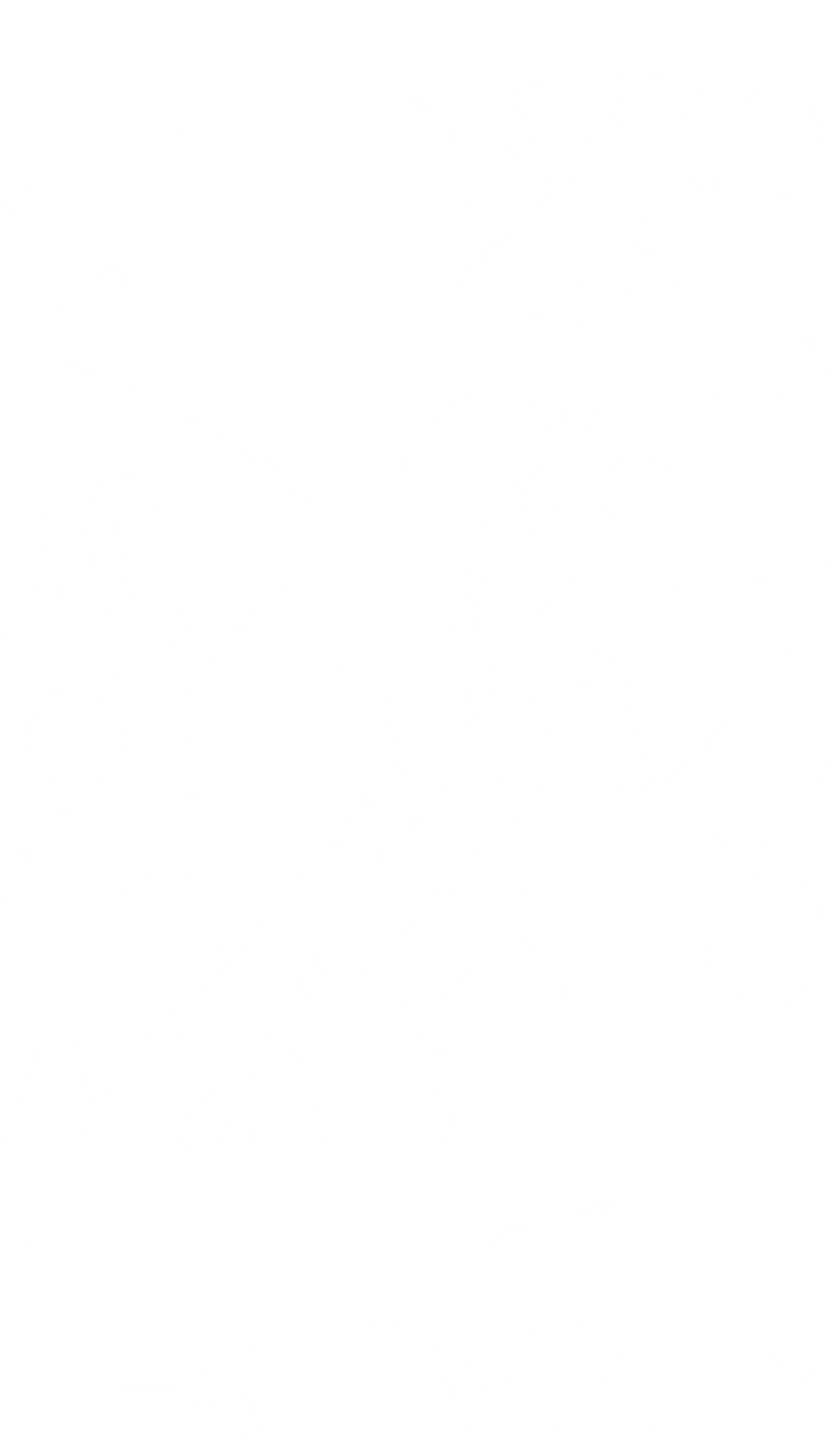 Toronto Arab Film Festival Logo
