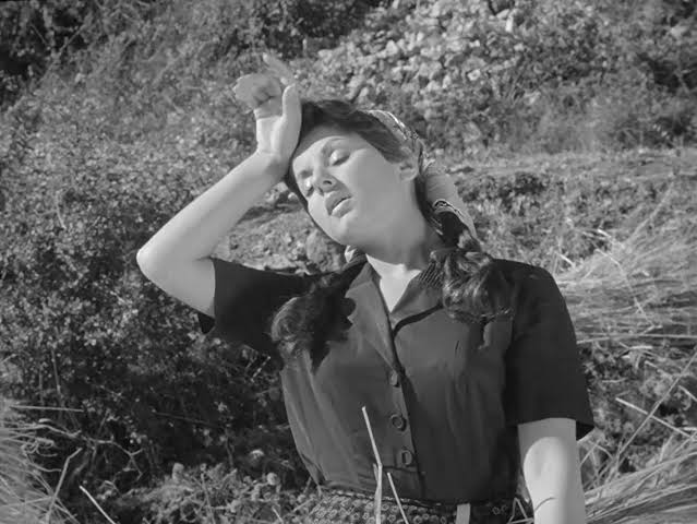 “Ila Ayn?” + Discussion