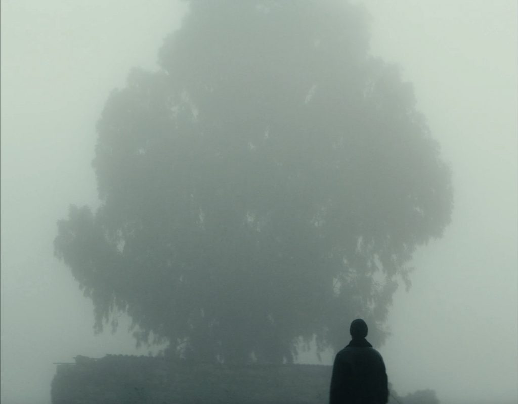 2022 Toronto Palestine Film Festival: “The Stranger” + Director Talk