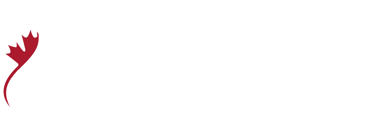 Canadian Arabic Orchestra (CAO)