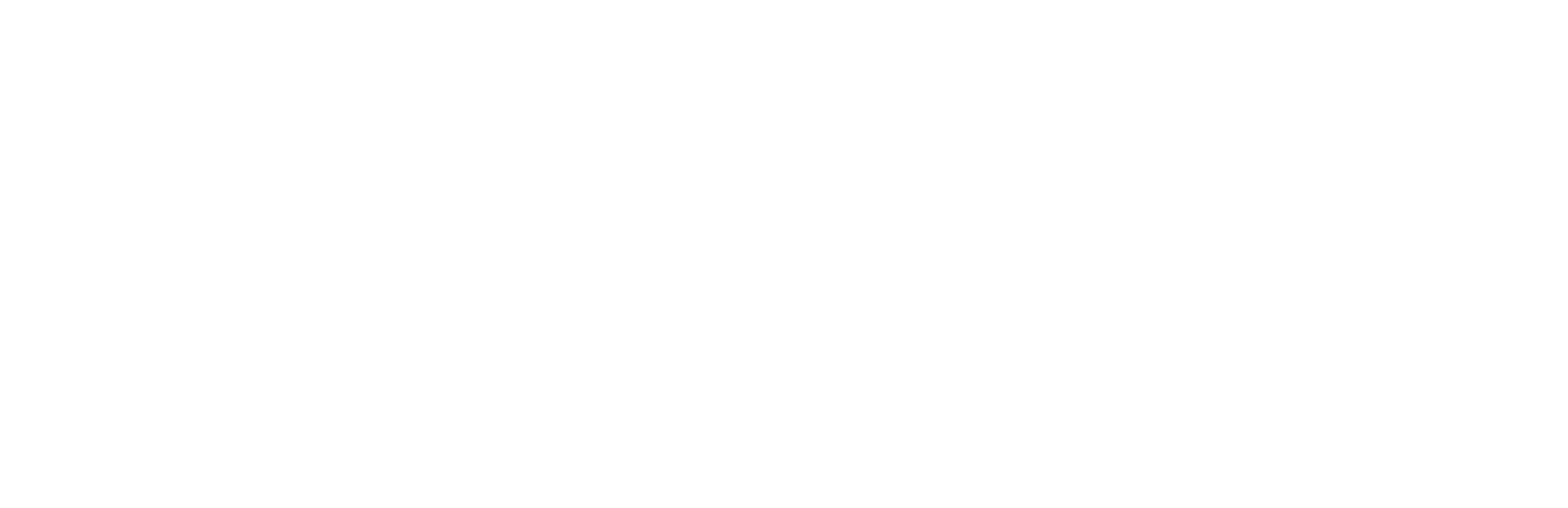 RIVO